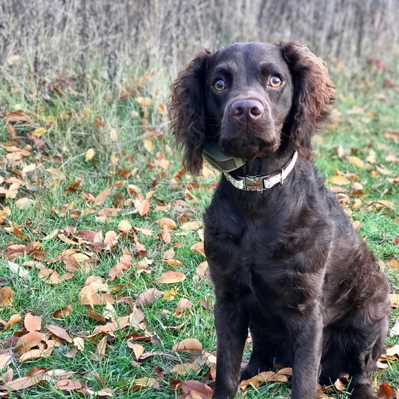 Meet your Posher, Tonja - Picture 1 of 1